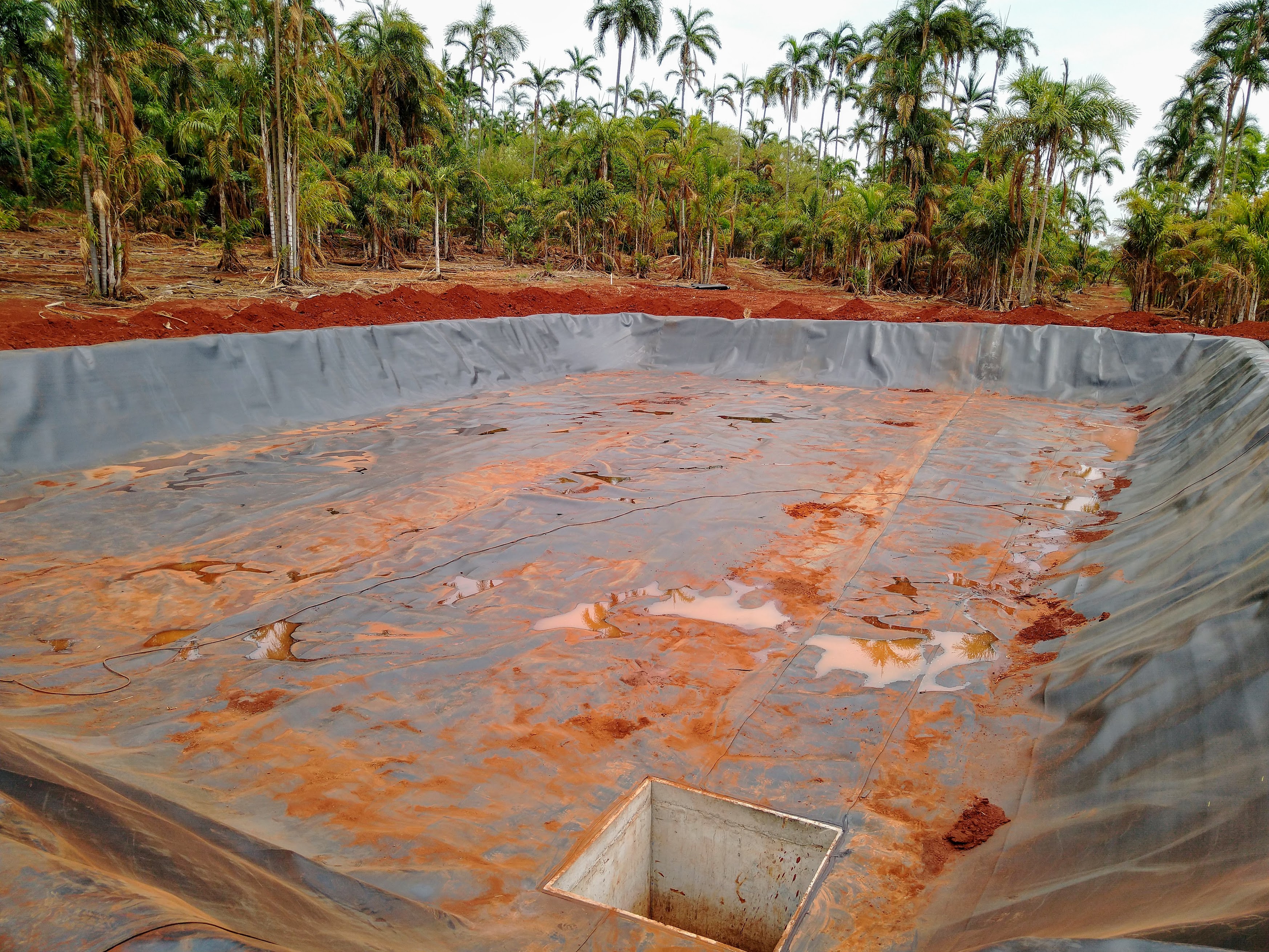 Reservatórios de Irrigação – Usina da Pedra – Serrana – SP