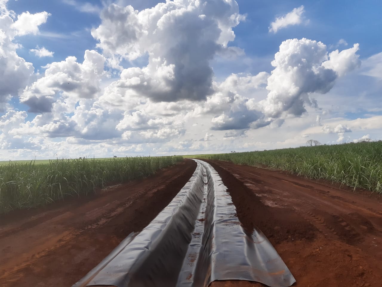 Canal de Vinhaça – Usina Guaíra – SP – 2021