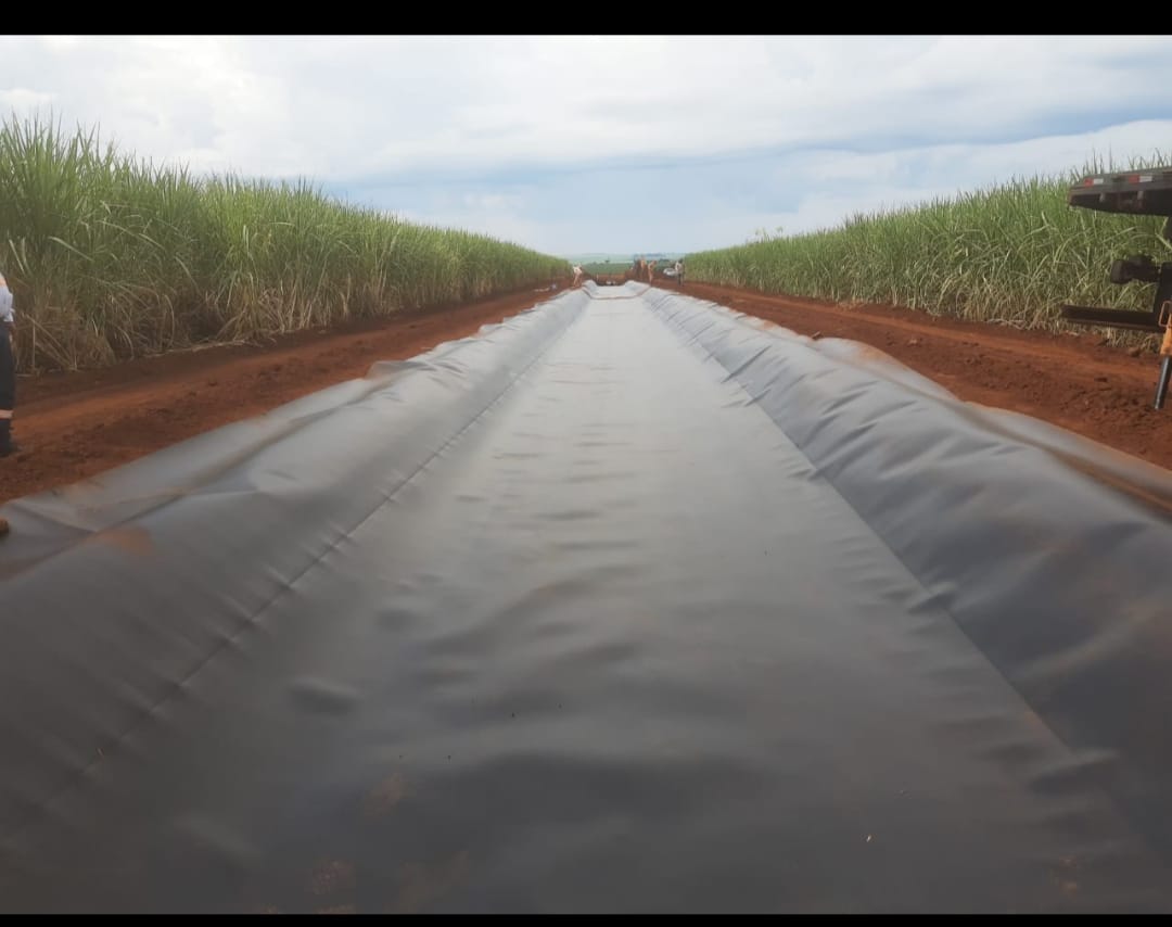 Canal Usina Alta Mogiana – 2021 – São Joaquim da Barra – SP