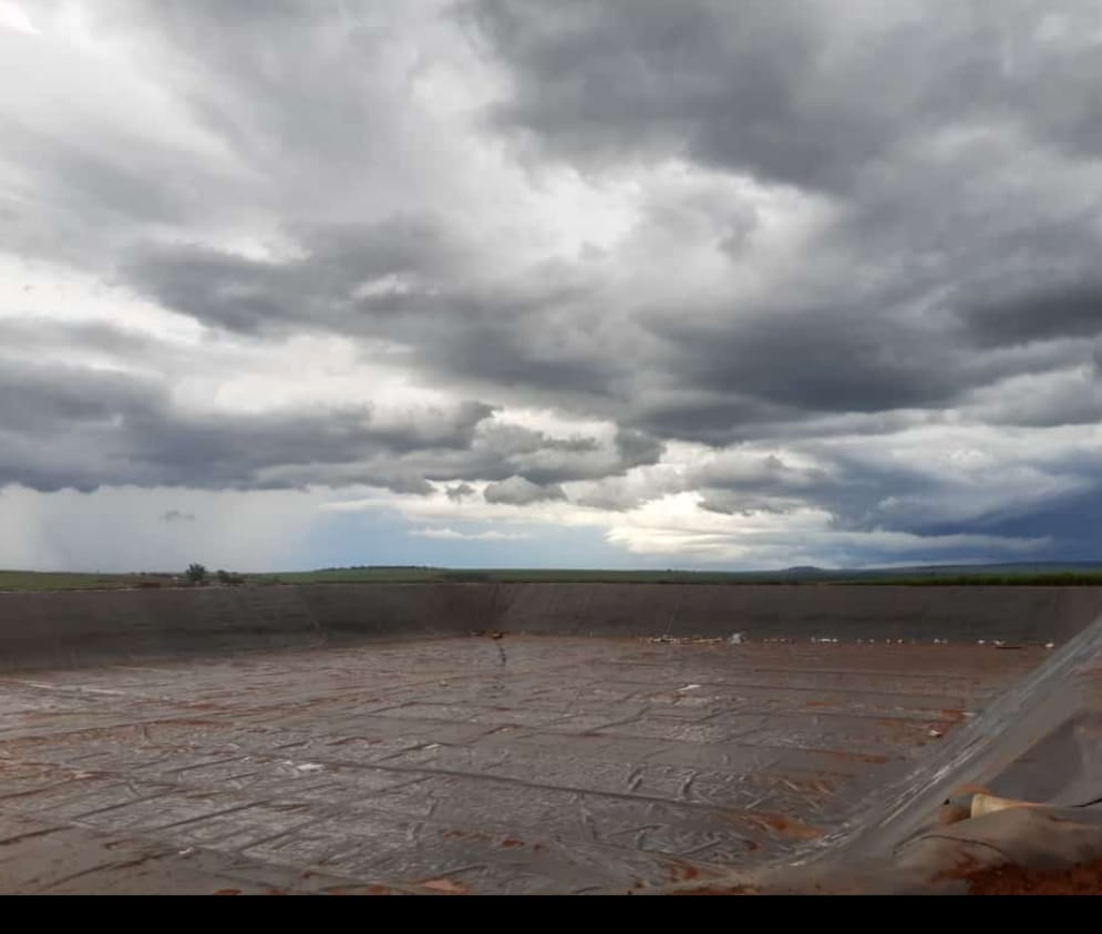 Canal Usina Alta Mogiana – 2021 – São Joaquim da Barra – SP