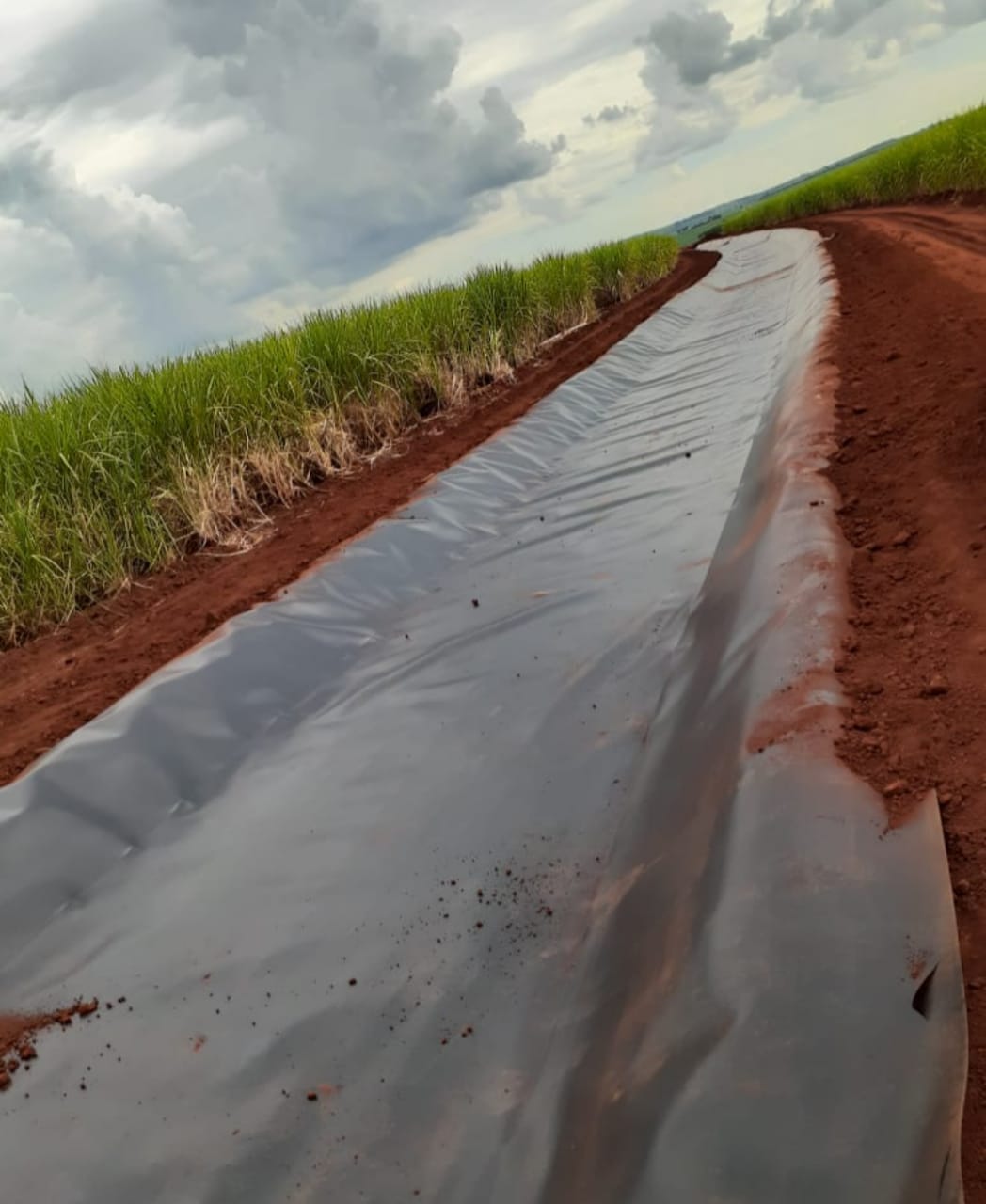 Canal Usina Alta Mogiana – 2021 – São Joaquim da Barra – SP
