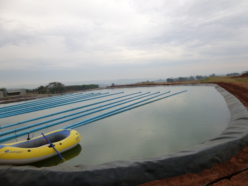 Reservatórios de Irrigação – Holambra – SP