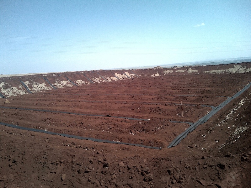 Reservatórios de Resíduos – Usina Abengoa – Pirassununga – SP
