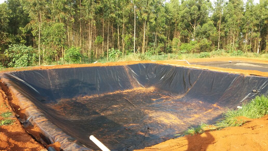 Reservatórios de Resíduos – Frigorífico Softpig – Leme – SP
